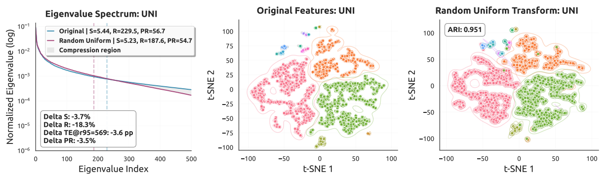 Random transformation preserves manifold